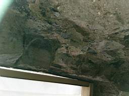 acastle 166230.jpg